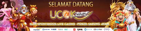 ucokbet slot|projectucokamp.com.